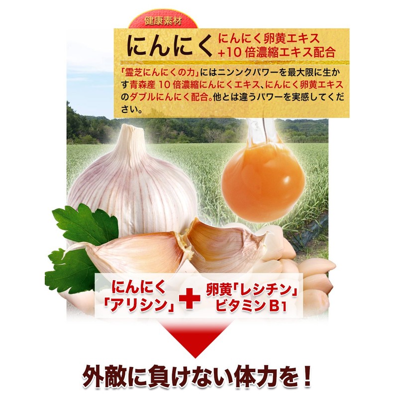 大日ヘルシーフーズ 霊芝にんにくの力 30粒入×3袋 にんにく卵黄 霊芝 高麗人参 マカ 亜鉛 配合 サプリ