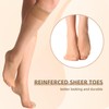 MANZI 12 Pairs Lady's Sheer Knee High Stockings, 12 Pairs