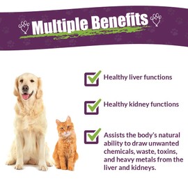 AMBER NATURALZ AMBER NATURALZ Internal Gold Detox Kit Herbal Supplement Kit for Dogs and Cats | Pet Supplements for Kidney and Liver Support | 2 Amber Glass Bottles (1 fl oz Each) | Manufactured in The USA