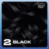 Clairol Nice'n Easy Crème Permanent Hair Dye, 2 Black, 240g