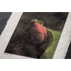 Awagami Factory Inkjet Print Paper Washi (0432519 IJ-6129 Shiramine, Postcard