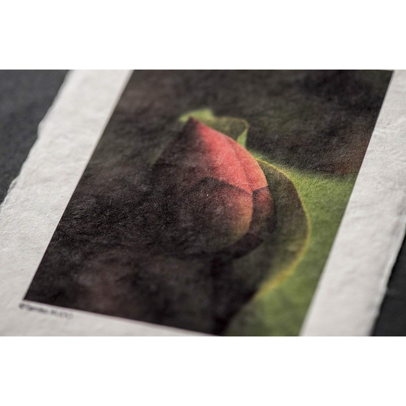 Awagami Factory Inkjet Print Paper Washi (0432519 IJ-6129 Shiramine, Postcard