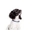 Danish Design FatFace Marching Dogs Woven Genuine Leather Trim Metal