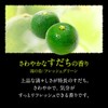 Kao Bub Blissful Citrus Meguri Bath, Carbonated, Bath Salt, Pack