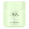 Pond's Fruity Hydra Fresh Gel Hidratante Facial con Aloe, Luminosidad