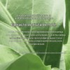 Madagascar Centella Hyalu Cica Blue Serum by Skin1004 for Women