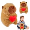 Capybara Plush Toy, Cute Love Heart Capybara Teddy 23cm Cute
