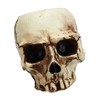 Skull Head Flower Pot Resin High Strength Clear Shape Skull