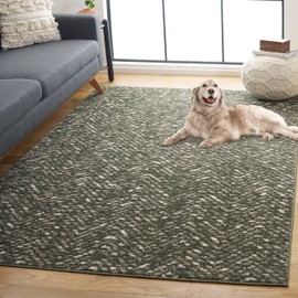 SAFAVIEH Adirondack Collection Area Rug - 8' x 10', Dark Green & Ivory, Transitional Design, Stain Resistant, Ideal for High Traffic Areas in Living Room, Bedroom & Dining Room (ADR104Y-8)