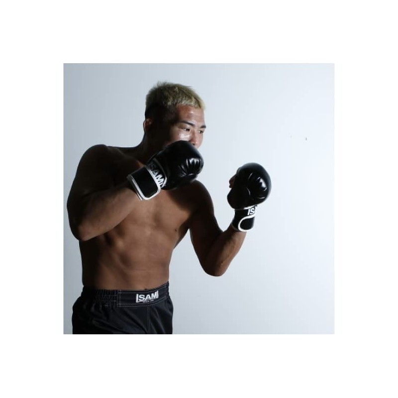 isami TN-8 Pound Gloves Sparring After Mixed Martial Arts (FREE)