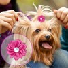 CUTEABC Dog Bows,50Pcs Cute Dog Hair Bows with Rubber Bands