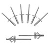 BESTYCHAO 60pcs Tri-Fold Exploding Large Head Aluminum Blind Rivet Pop
