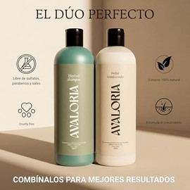Shampoo Sin Sulfatos, Parabenos ni Sales – Anticaída con Romero – Extracto 100% Natural con 10 Hierbas – Hidratación, Brillo y Crecimiento – Herbal - 480 ml