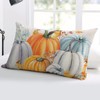 Pillow Covers 24x36 Inch - Body Thanksgiving Fall Pumpkin Bird