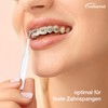 wellsamed Travelbrush 7-Piece Interdental Brush Set, ISO 0-5, Brush Size: