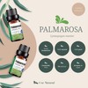 Aceites Esenciales de Palmarosa Aromaterapia - Natural 100% de Aceite