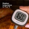OXO Good Grips Chef's Precision Digital Instant Read Thermometer, Metallic