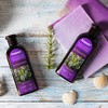 Tresan Rosemary Refreshing Shampoo for Oily Hair - Nourishing Volumising