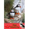 Puffin Animal Valentines Day Card