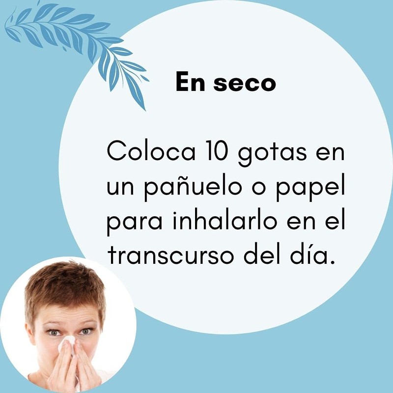 Aceite Esencial de Cedro 10 ml