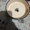 Petage Dog Cat Bowl Paw Leopard Zebra Ceramic