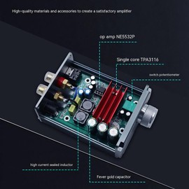 DollaTek 100W Mini Subwoofer Power Amplifier TPA3116D2 Audio HiFi Amp Black