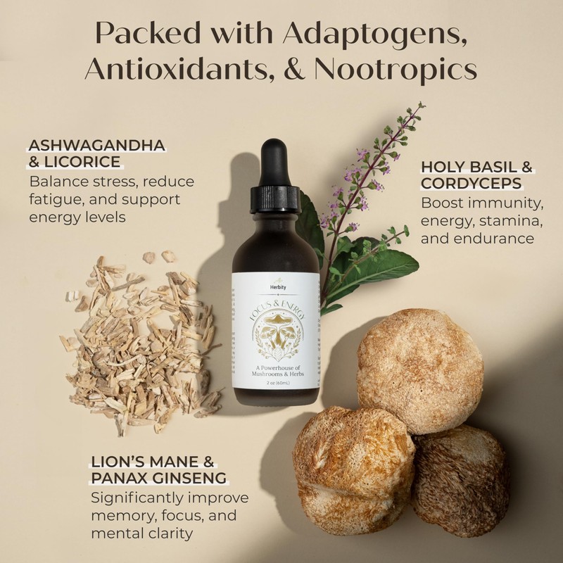 Herbity Focus & Energy Natural Mushroom Tincture - Adaptogenic Mushroom