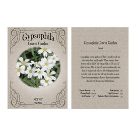 Bright Bloom Garden Flower Seed Set – 24 Varieties Including Sunflowers, Asters, Zinnias & More | Heirloom, Non-GMO, Pollinator-Friendly, USA Sourced (24 Seed Packets)