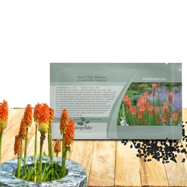 Outsidepride Red Hot Poker Seeds - 1000 Pcs. Perennial, Drought-Tolerant & Easy to Grow, Flower Seeds for Planting Tall & Bright Mixed Blooms for Vibrant Floral Arrangements & Pollinator Gardens