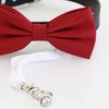 Dog Bow Tie ring bearer collar, Pet accessory, puppy lovers,