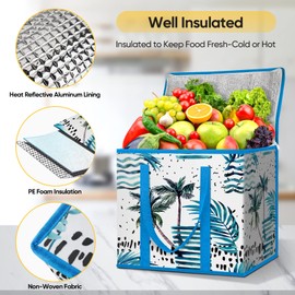 BALEINE 2Pk Insulated Reusable Grocery Bags, Collapsible Cooler Bag for Groceries, Heavy Duty Large Insulated Bag (16''x9''x13'', Island Breeze)