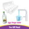 PAAS Megga Color Cups Egg Decorating Kit: Dye 12 Eggs