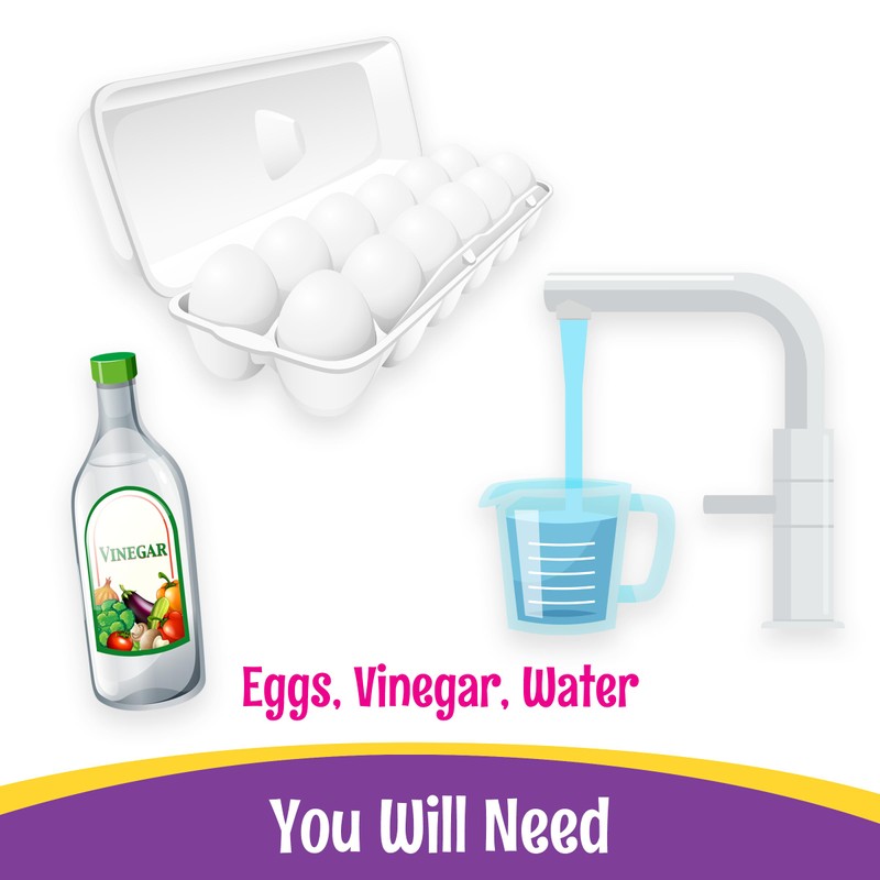PAAS Megga Color Cups Egg Decorating Kit: Dye 12 Eggs