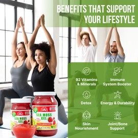 EverSmith Organics - Wildcrafted Irish Sea Moss Gel | Made in USA | Rich in Vitamins & Minerals | Sea Moss Gel Raw | Nutritional Supplement | Strawberry (16 oz)