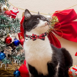 2pcs Christmas Cat Collar with Bells and Bow Tie, Adjustable Quick Release Cat Collar Breakaway Cute Christmas Themed Kitten Collar for Kitten Puppy Pet Supplies Stuff Accessories (C)