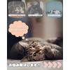 Modern Neco 360° Kurukuru Cat Teaser, No Lack of Exercise,