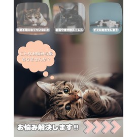 Modern Neco 360° Kurukuru Cat Teaser, No Lack of Exercise, Answering Machine, Toy, 3 Colors, Alone Play, Exercise Toy