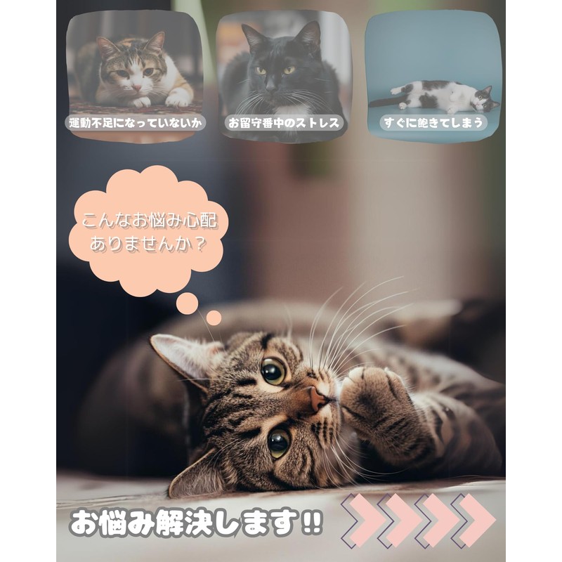 Modern Neco 360° Kurukuru Cat Teaser, No Lack of Exercise,