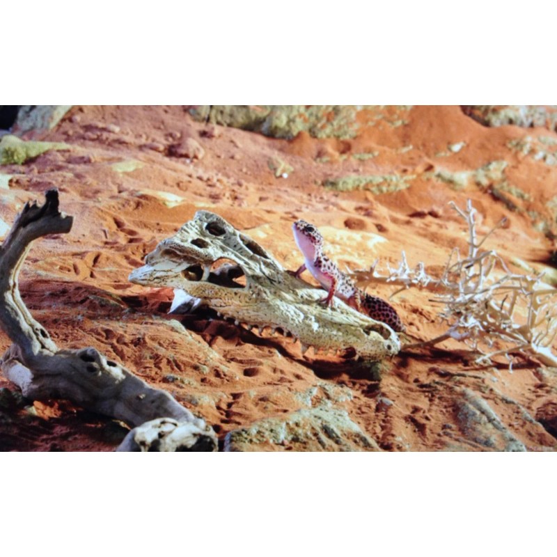 EXO TERRA CROCODILE SKULL - PT-2856