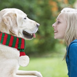 ZTA Dog Knitted Scarf for Dogs Cats Santa Red Green Scarf Winter Neck Warmer Pet Apparel Costume (Large)