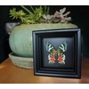 Real Framed Sunset Moth Display Shadow Box