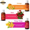 Precious Aromas Essential Oil Lavender Rose Tea Tree Rosemary Jasmine