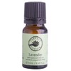Perfect Potion Pure Essential Oil - Lavender, 10ml