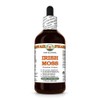 Irish Moss (Chondrus Crispus) Dry Entire Plant Glycerite, Made in