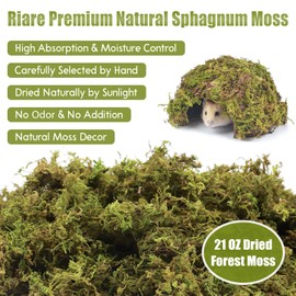 Riare 25QT Natural Hamster Moss Bedding Nesting-Soft Forest Moss Hamster Habitat Reptile Moss for Dwarf Syrian Hamsters, Mices, Gerbils, Reptiles, Small Pets (1.3LBS)