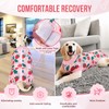 Nasjac Recovery Suit for Dogs - Zipper on Recovery Suit
