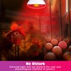 LUCKY HERP Infrared Heat Lamp for Chickens, 250 Watt Red