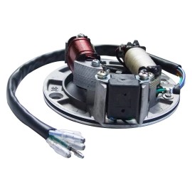 superstarterstoreee 125cc Stator ATV Dirt Bike for Sunl for Kazuma for Taotao Magneto Coil
