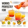 Zulay Kitchen Premium Metal Orange Squeezer – Heavy-Duty Manual Citrus