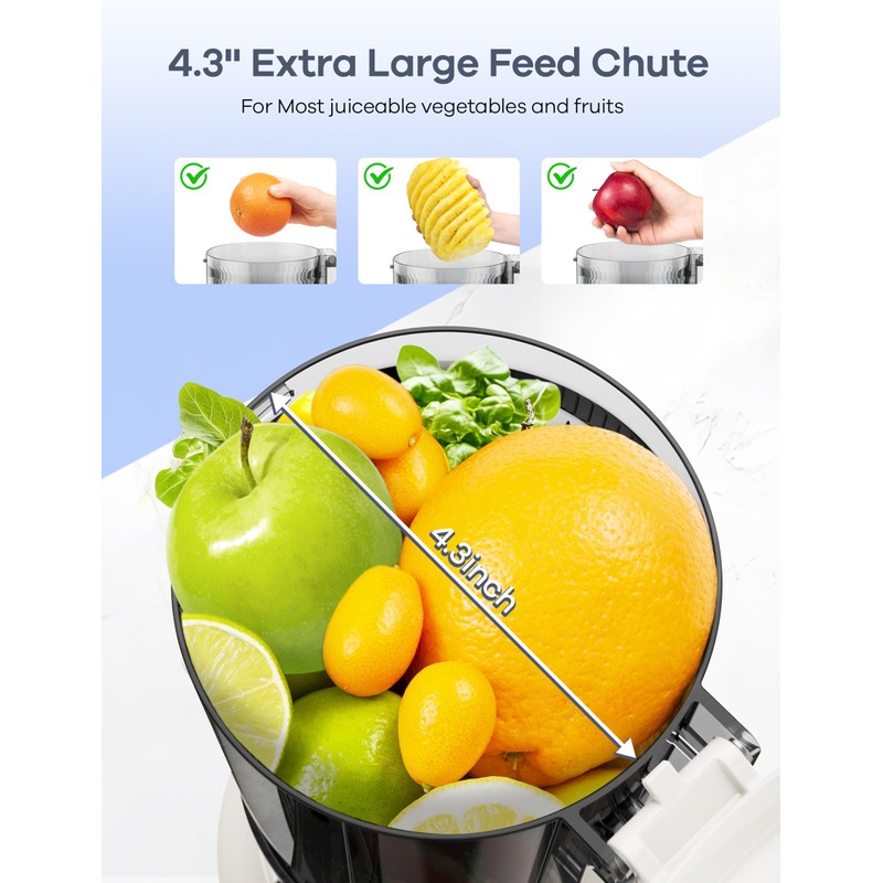 Ganiza Juicer Machines, Cold Press Juicer with 4.3" Large Feed